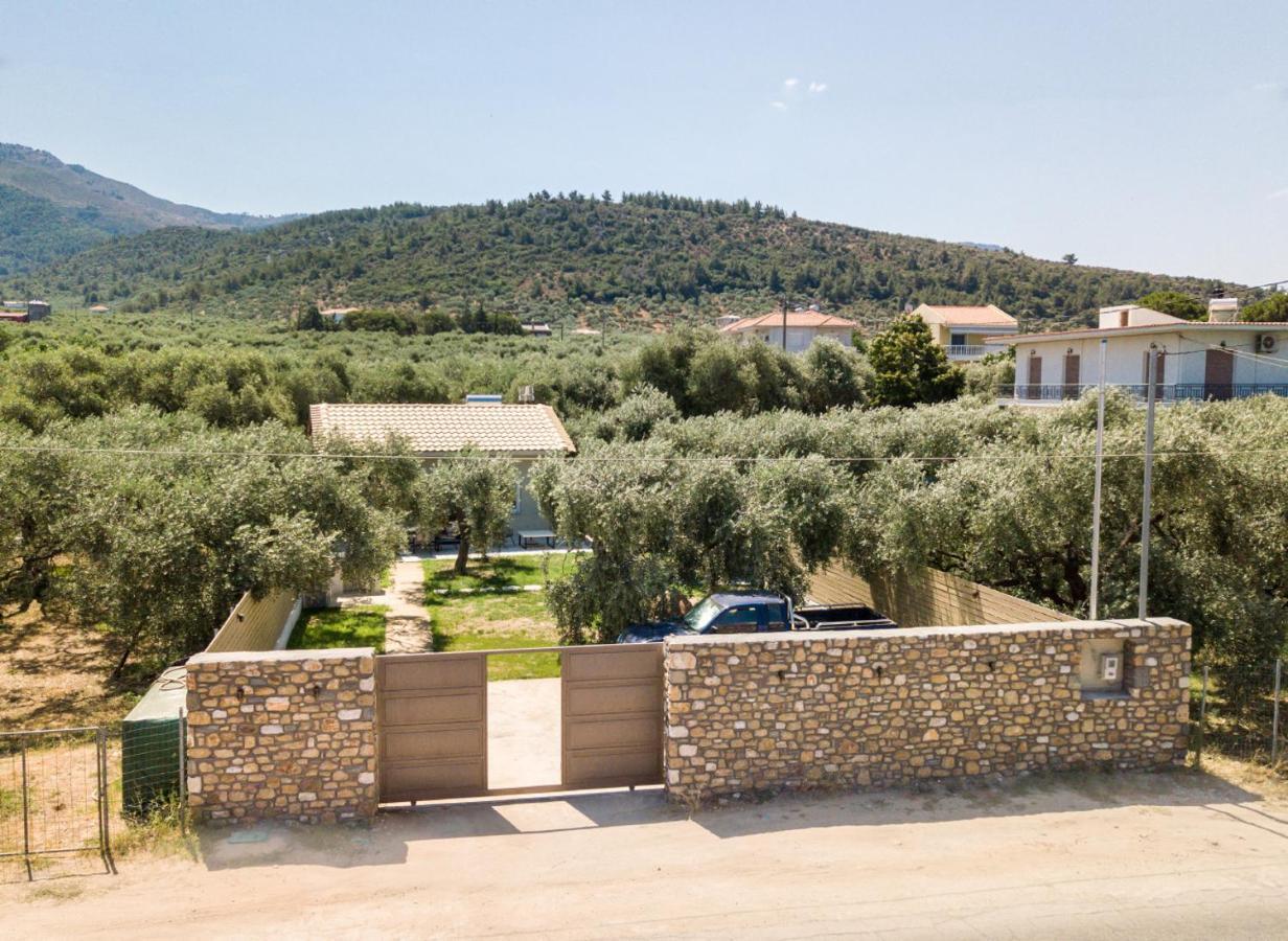 Villa 4 You Iliopetra Szkála Szotírosz Kültér fotó